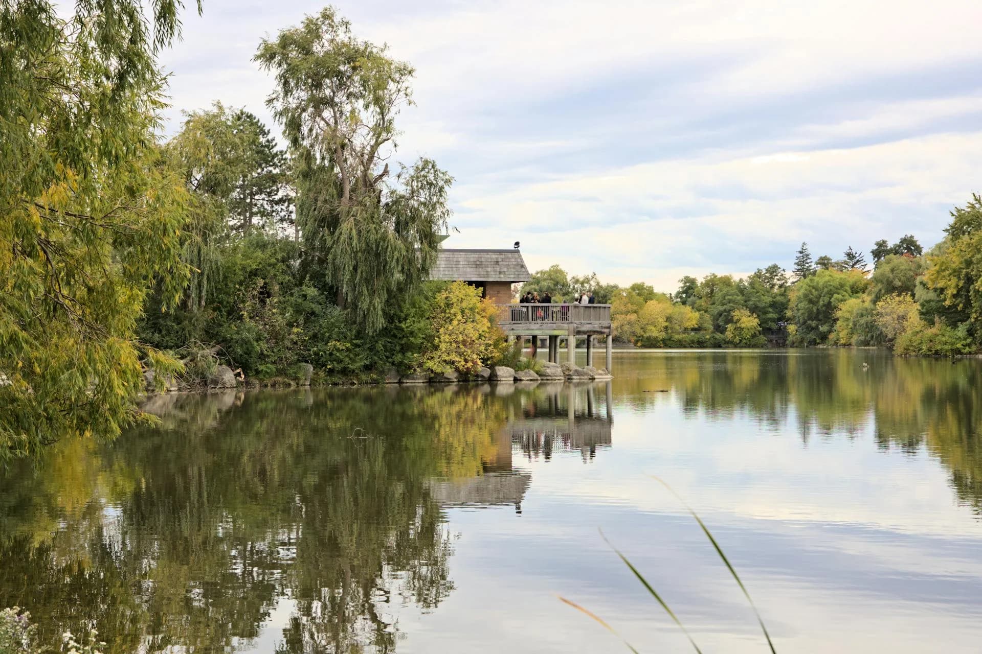 Real estate in Markham, Ontario